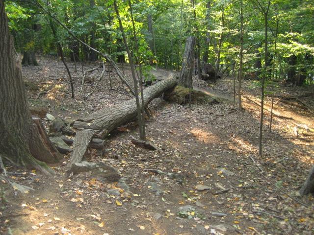 Sprain Ridge Park 1