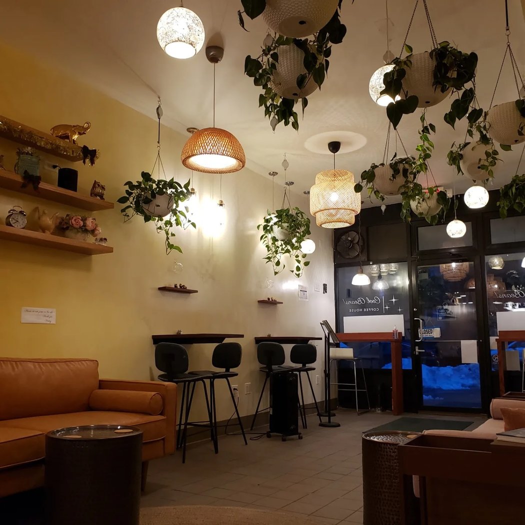 Cool Beans! Coffee House 2