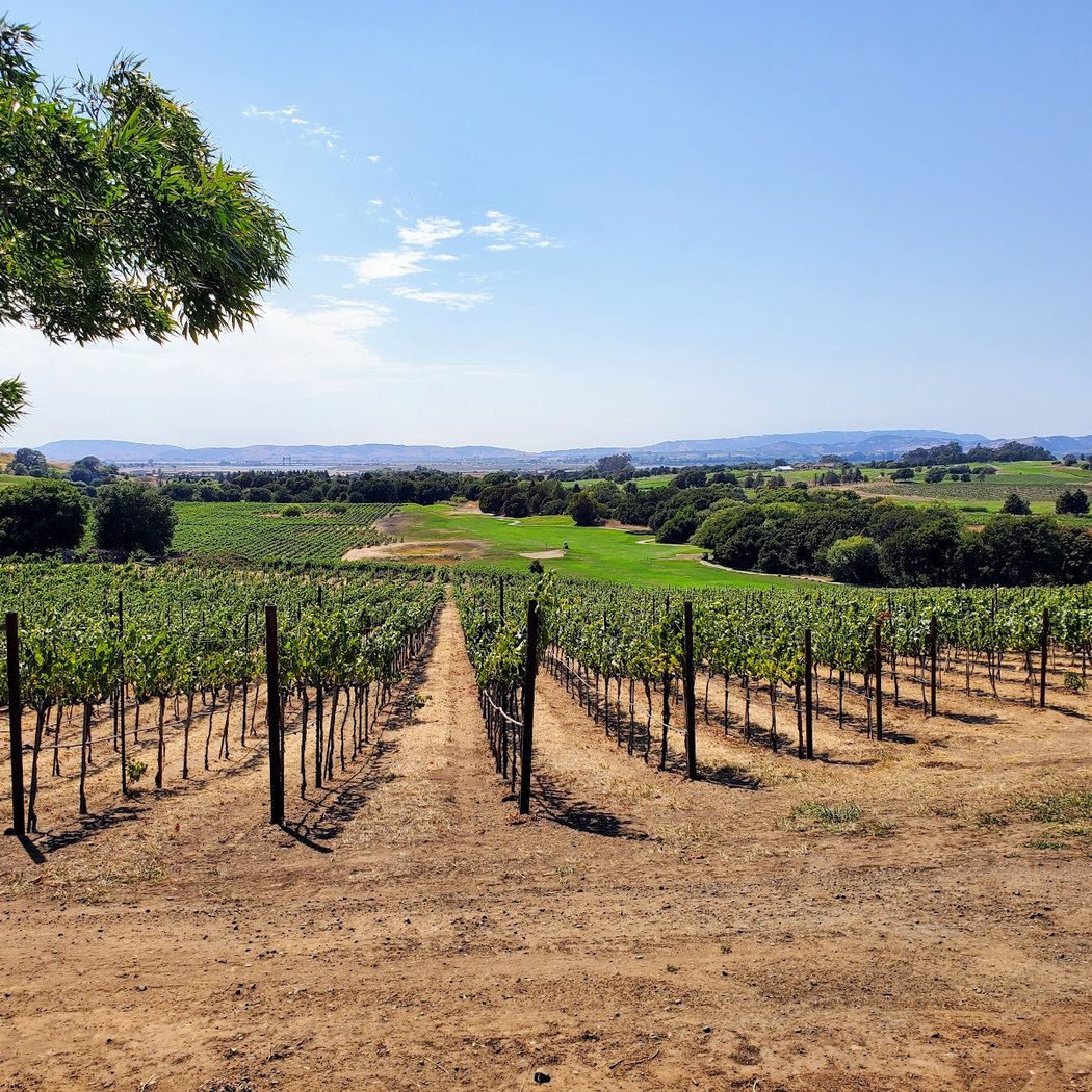 Chardonnay Golf Club 3