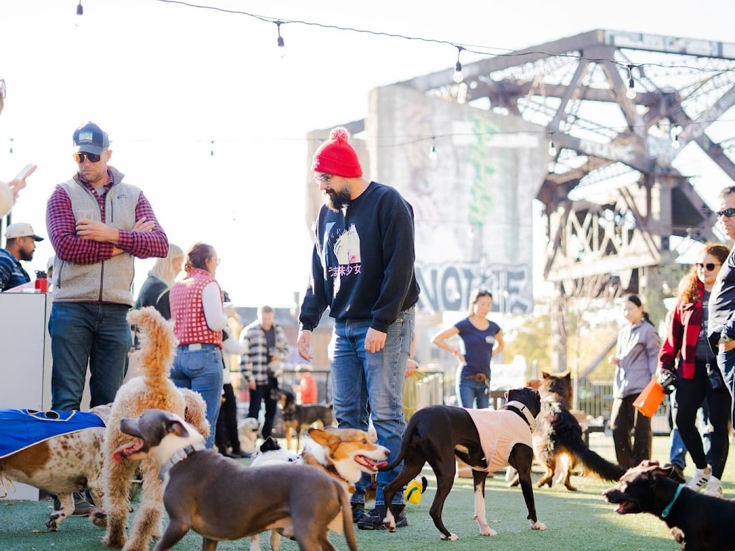 Pup Social 1