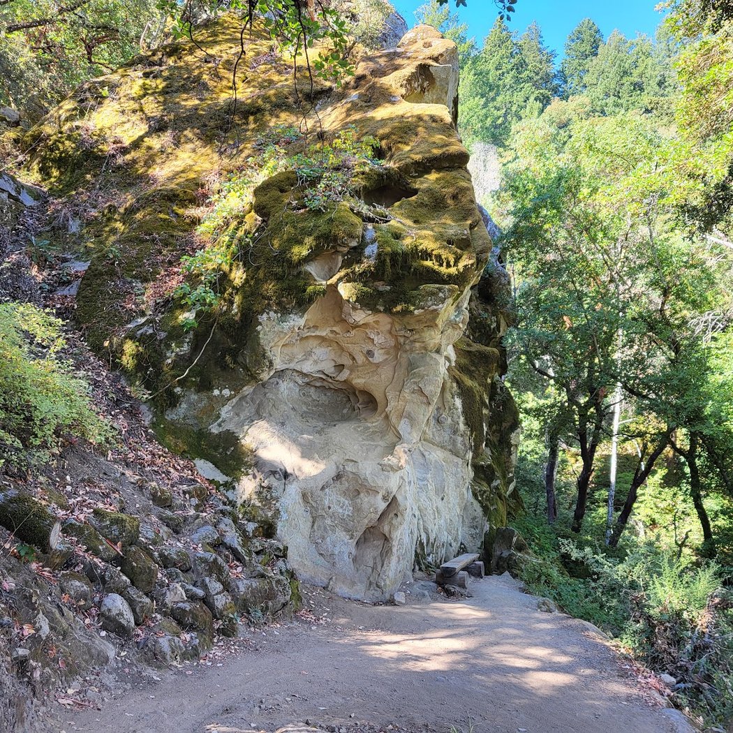 Sunnyvale Mountain Trailhead 1
