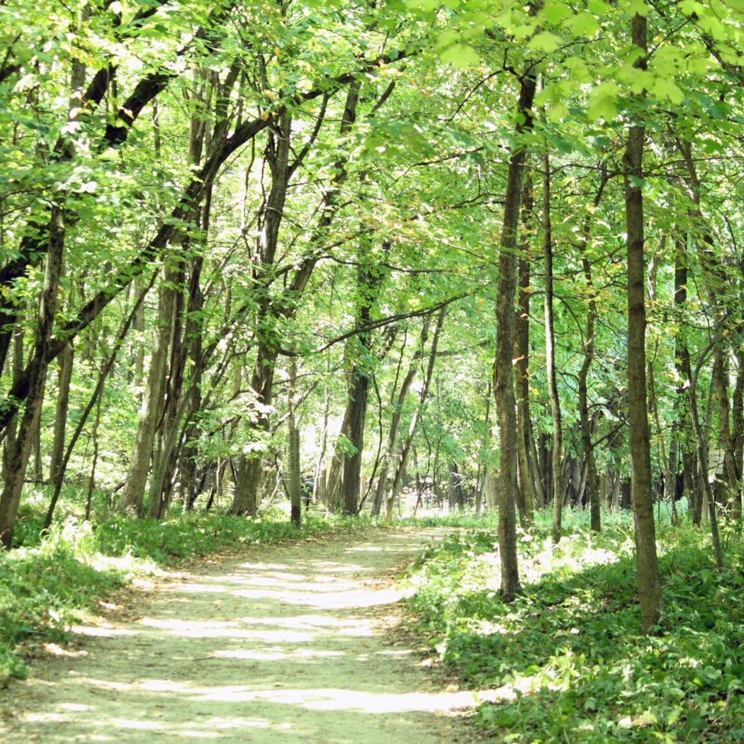 Forest Park Nature Center 1