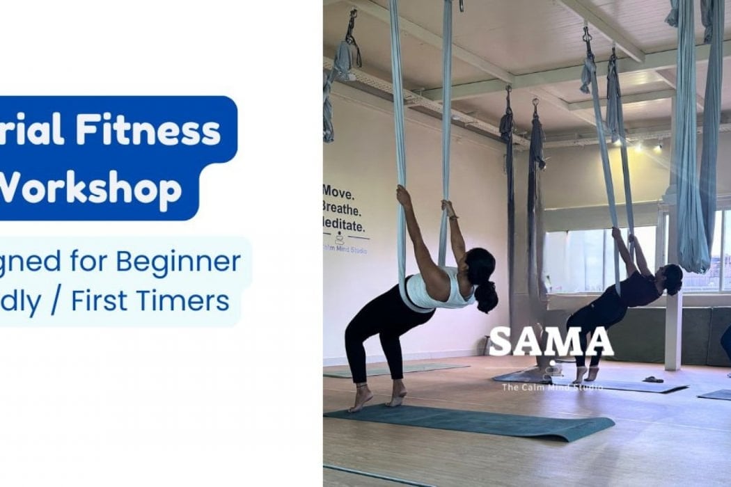 Aerial Fitness Experience: Beginners Workshop 1