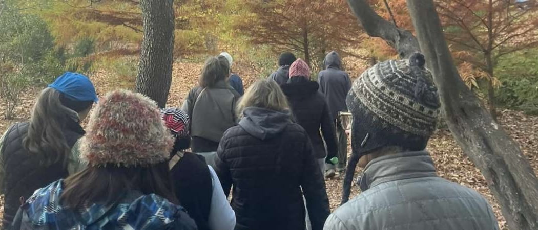 Wellness Walks 1
