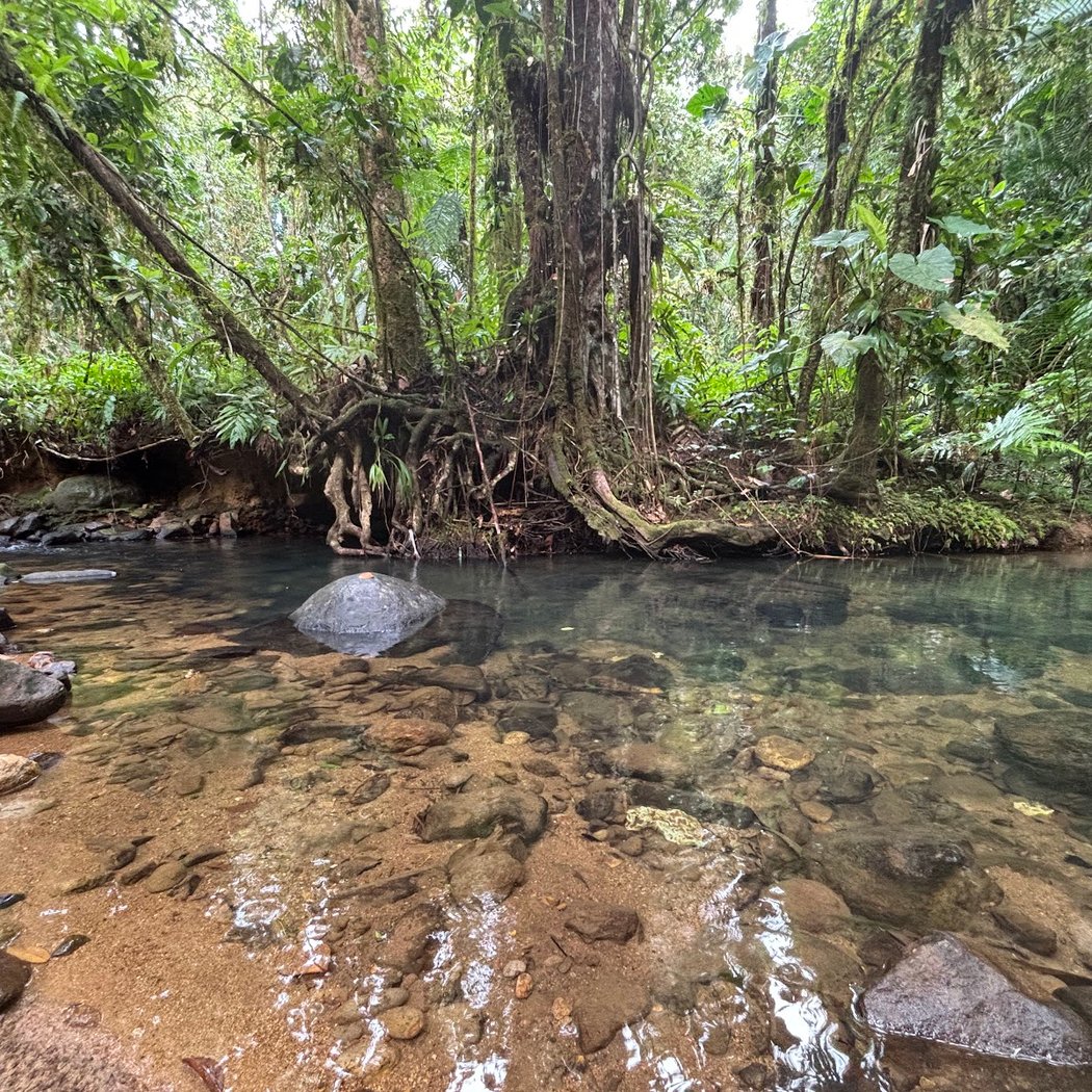 Guadeloupe National Park 3