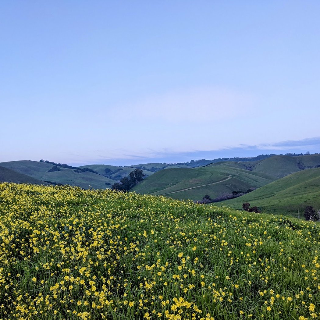 Ridge View Loop 2