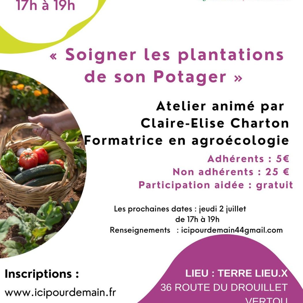 Atelier potager : soigner les plantations de son potager 1