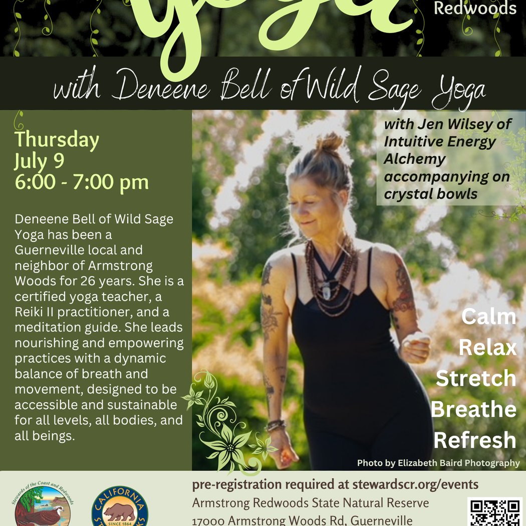 Yoga in the Redwoods with Deneene 1