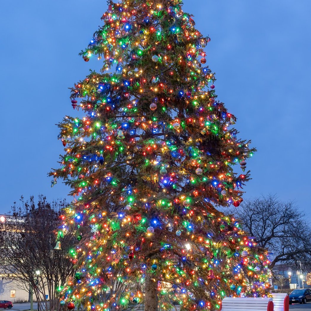 Towne Square 2