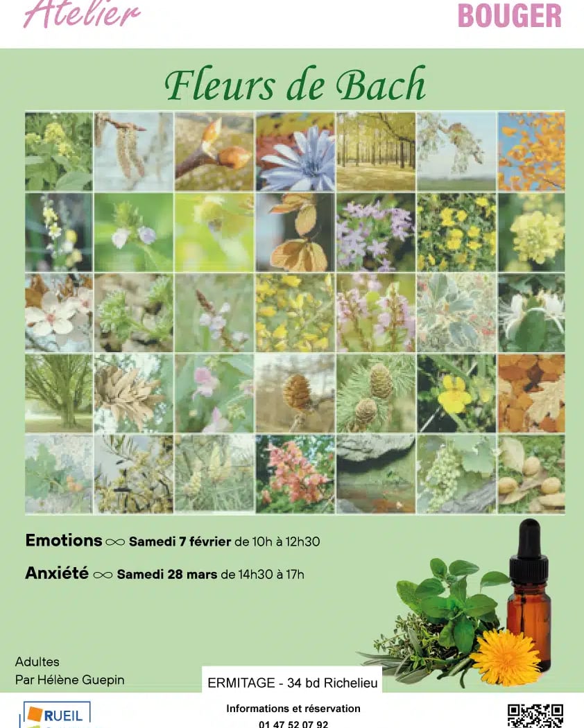 Fleurs de Bach & Anxiété 1