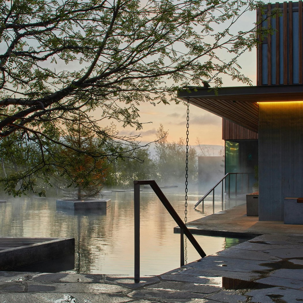 Forest Lagoon 1