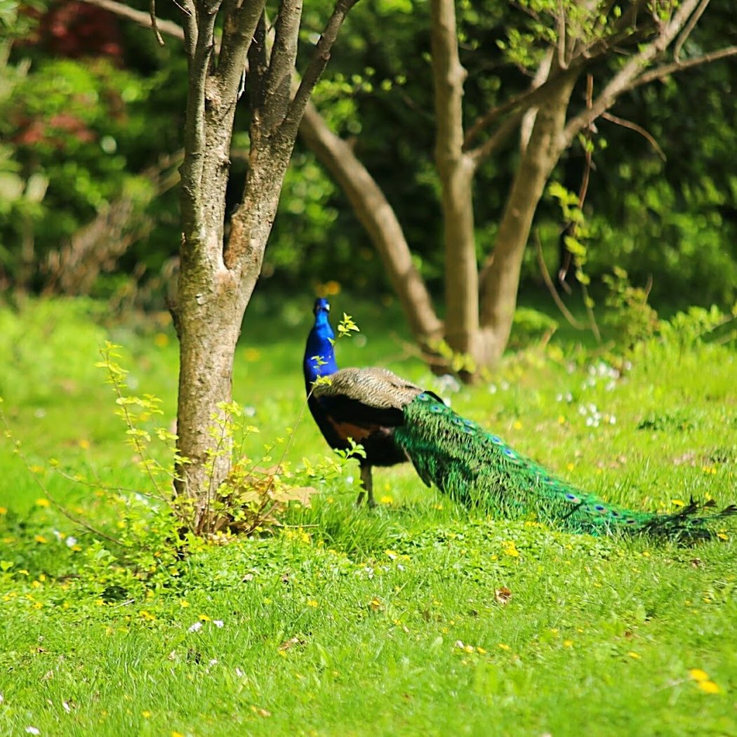 Staten Island Zoo 2