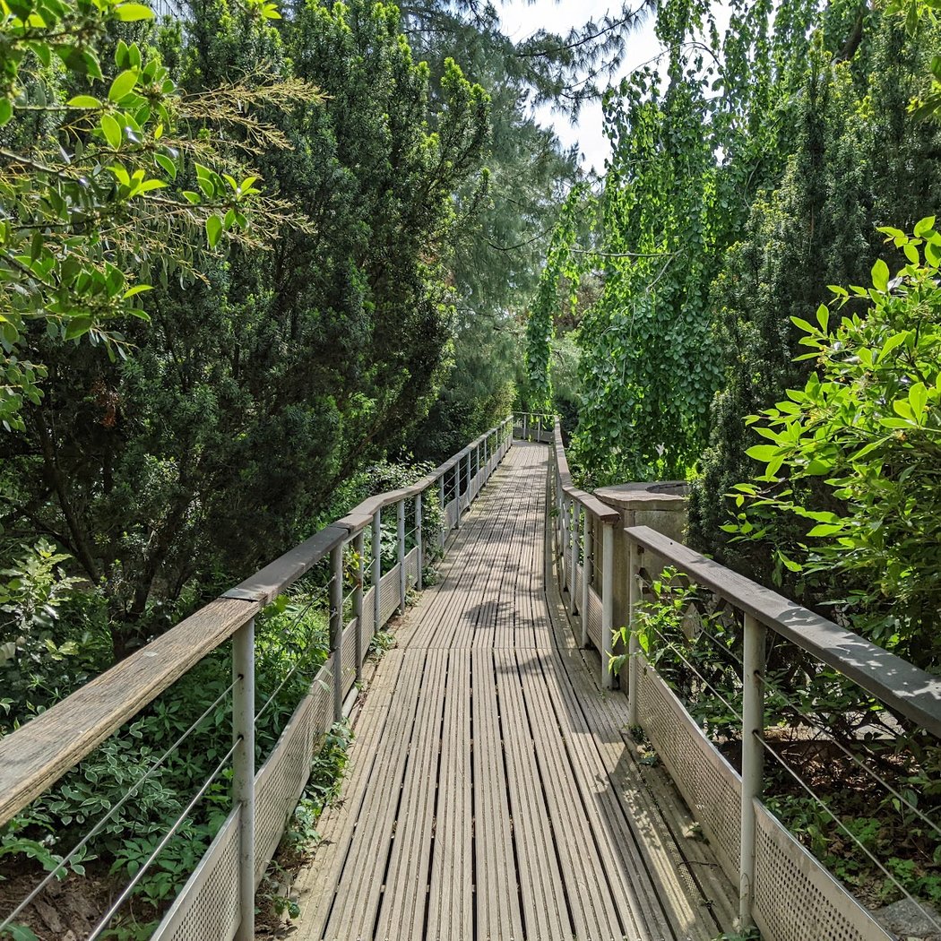 Wander in Jardin Atlantique 1