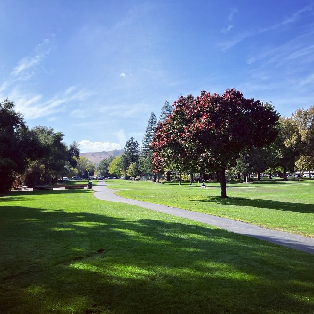 Larkey Park 1