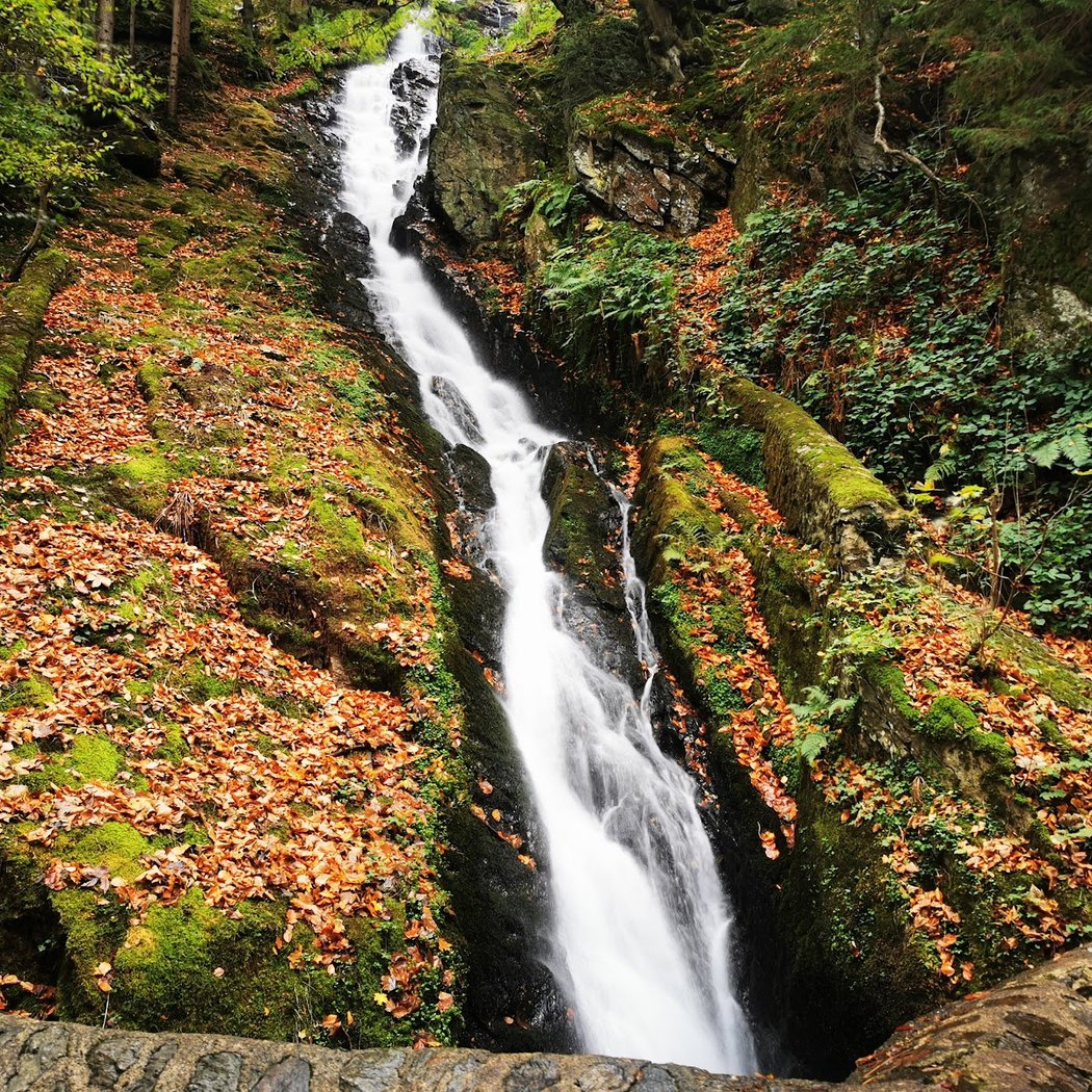 Parc naturel régional du Pilat 1