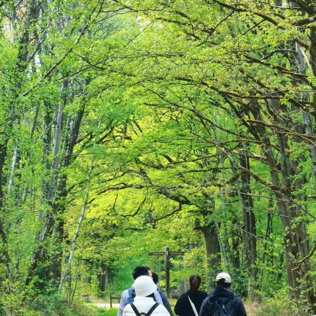 Le Sentier des Maréchaux 1