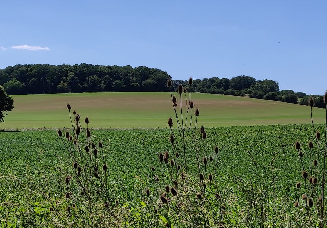 Ferme Historique et Vallon Champêtre 2