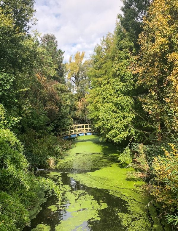 Regent's Park 4