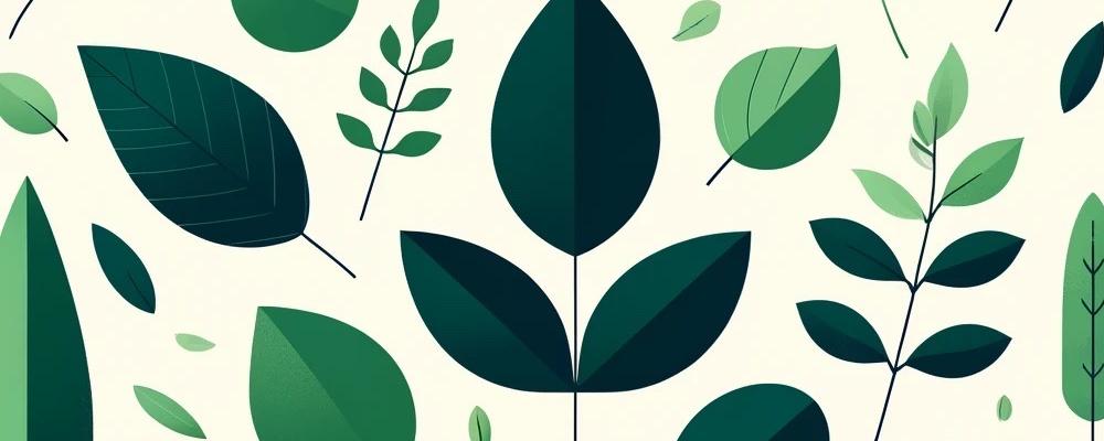Journée de dons de plantes 1