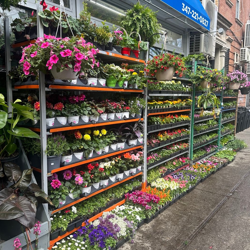 Ditmas park florist gift and garden llc. 1
