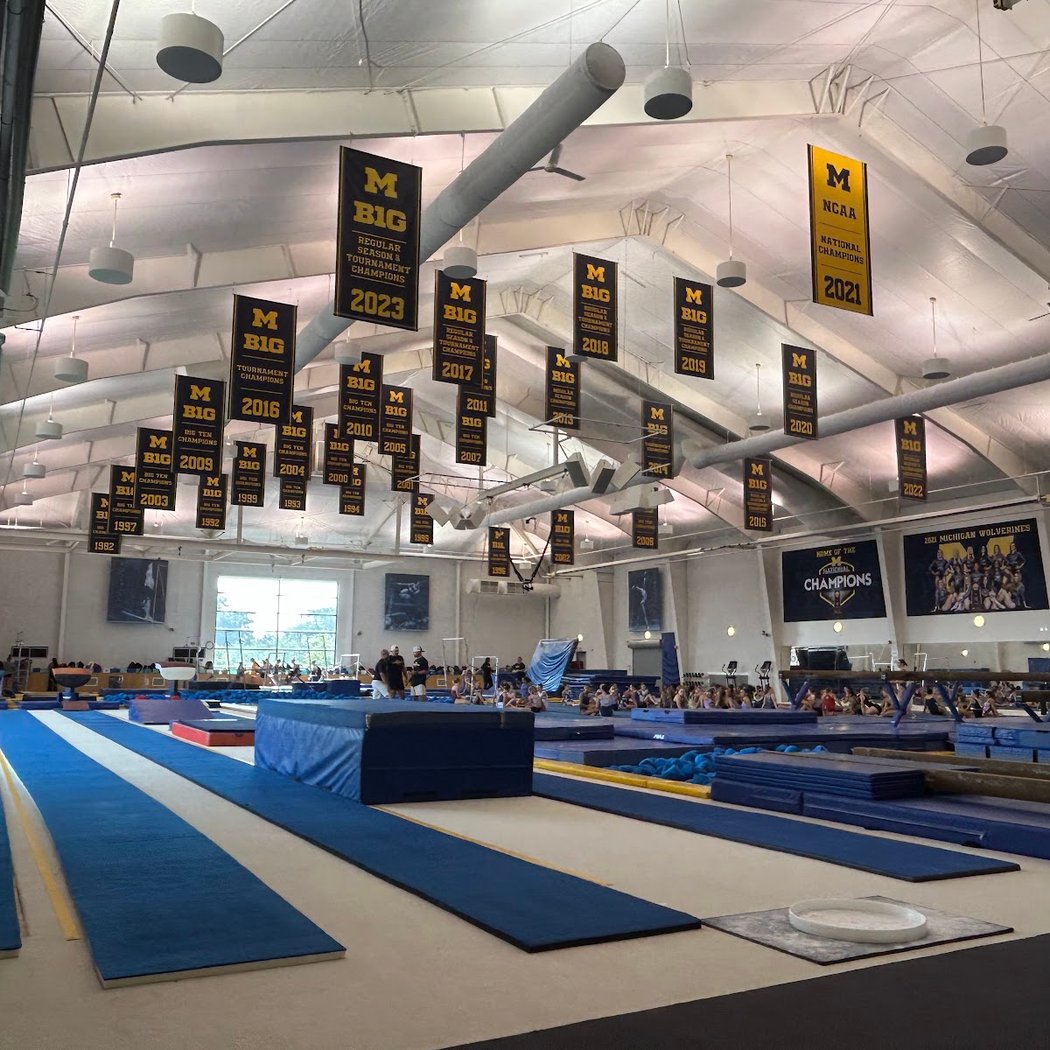 Michigan Academy of Gymnastics 2