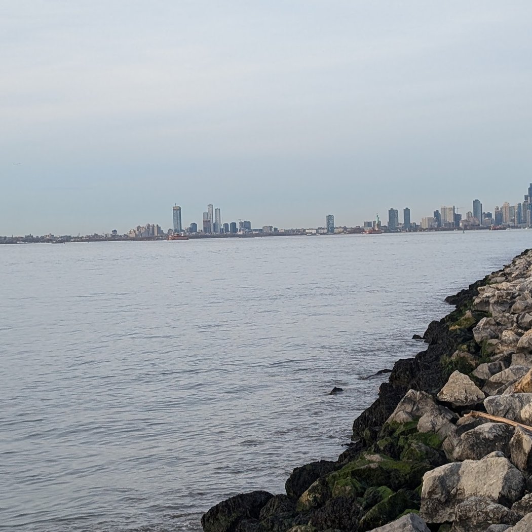NYRR Open Run 3