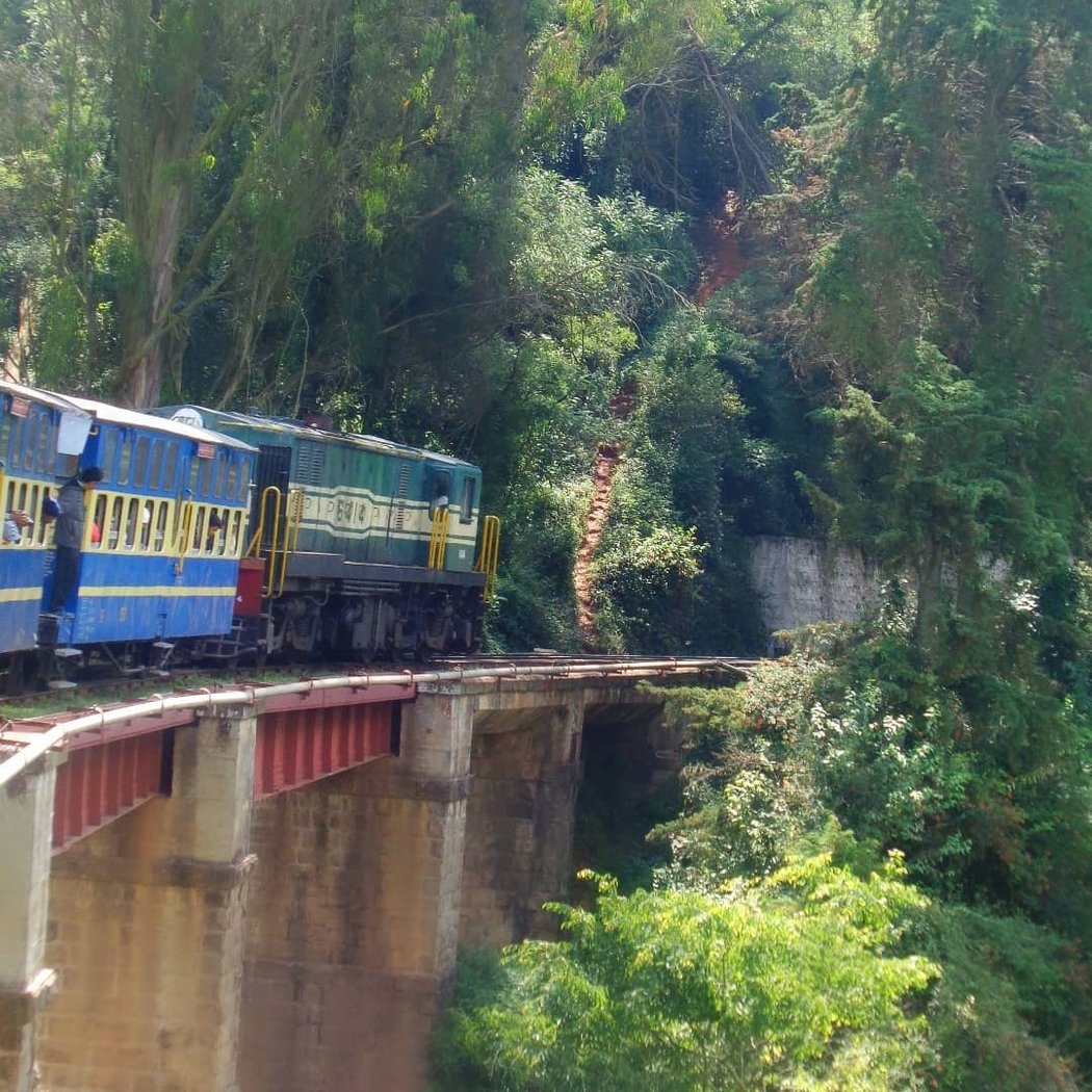 Coonoor 2