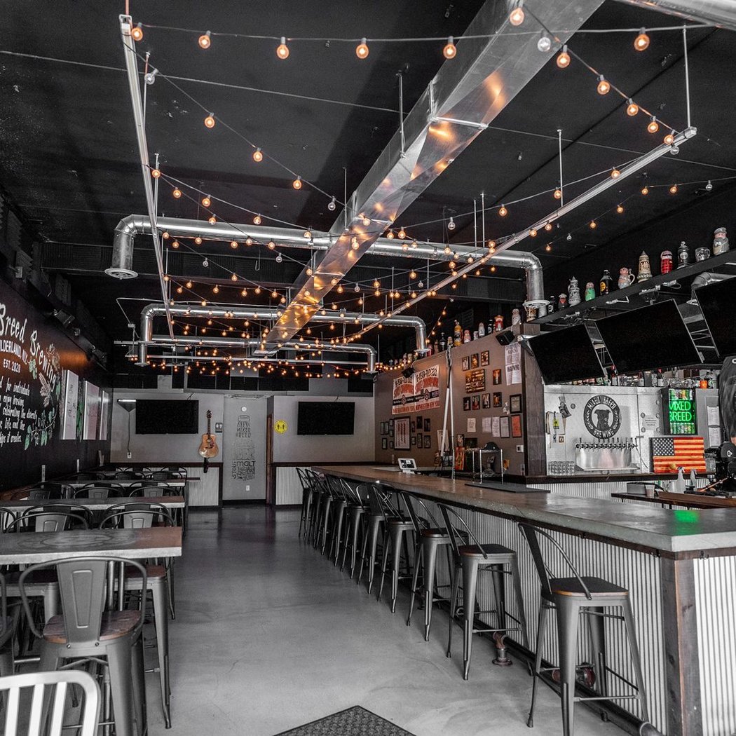 Mixed Breed Brewing 3