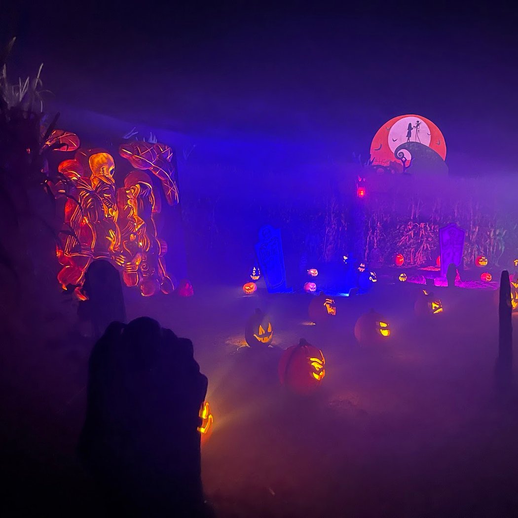 Harvest Nights 1