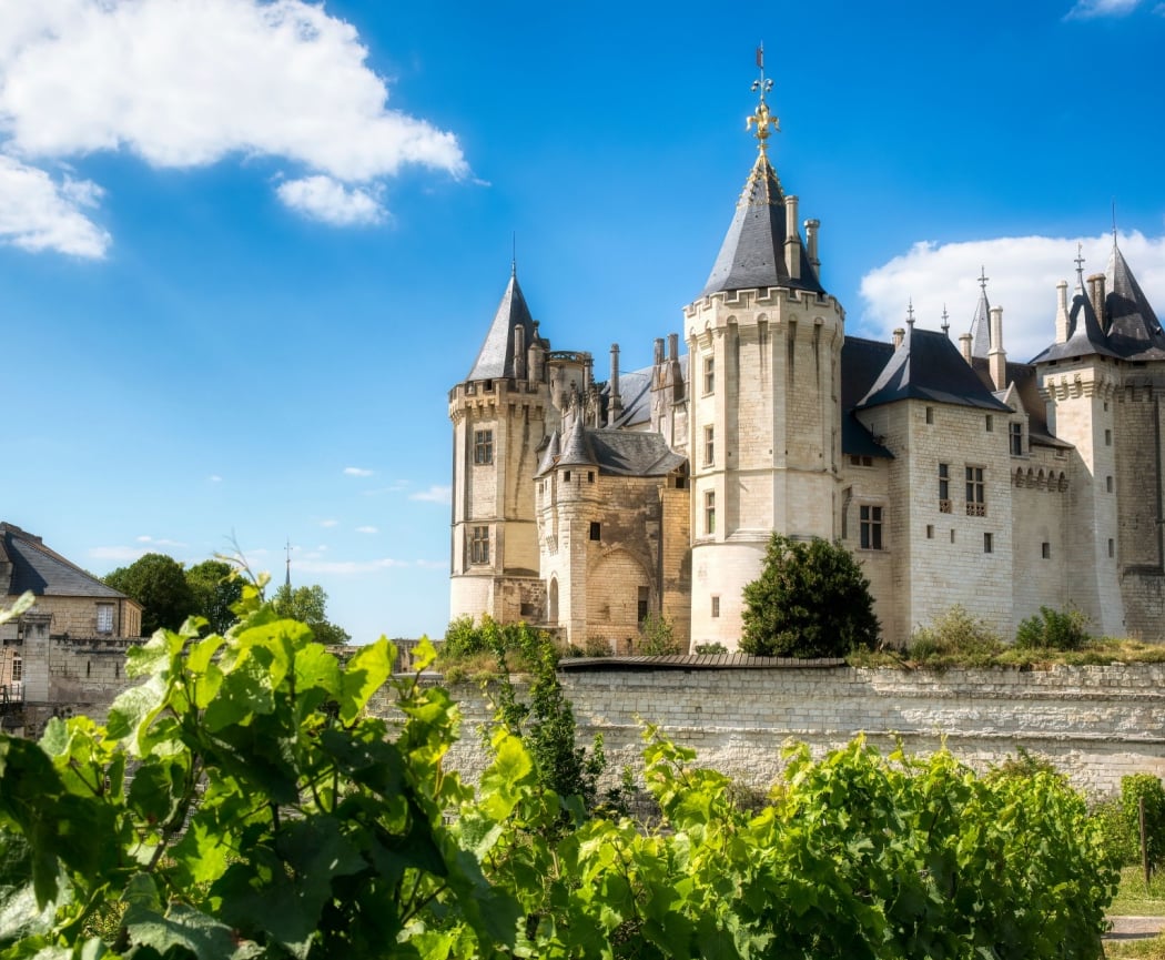 Château de Saumur 1