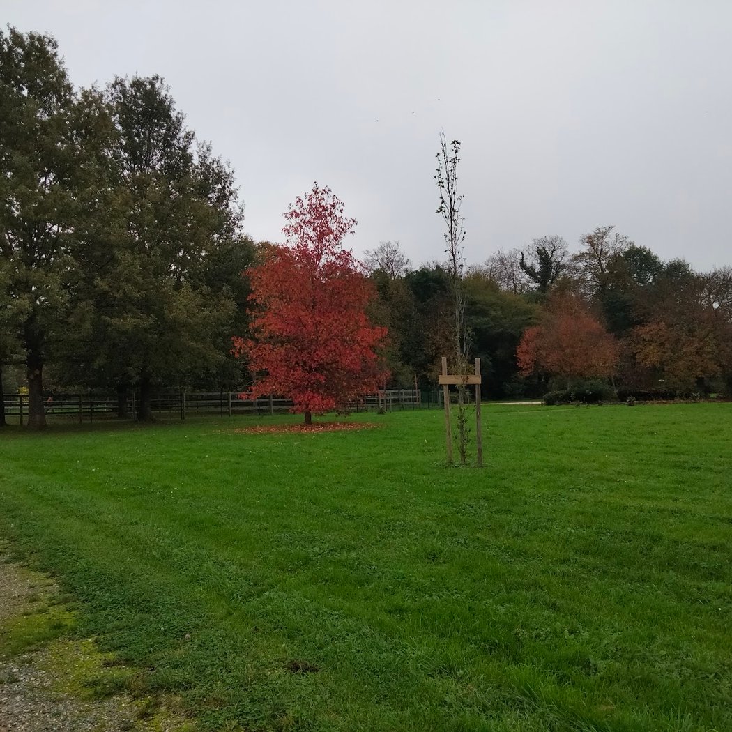 PARC INTERCOM D EQUITATION CHATEAU BLEU 4