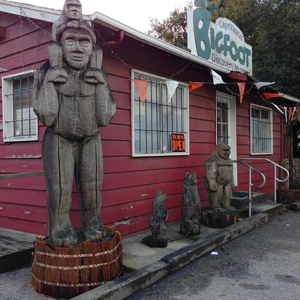 Bigfoot Discovery Museum 2