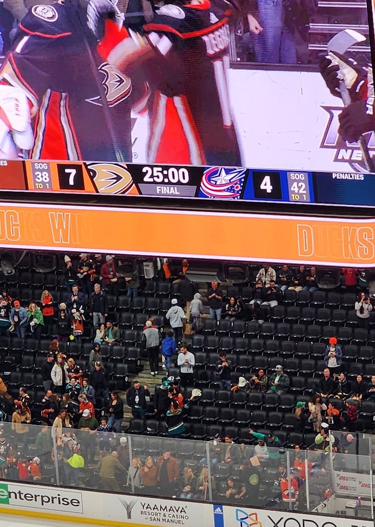 Ducks vs. Golden Knights 3