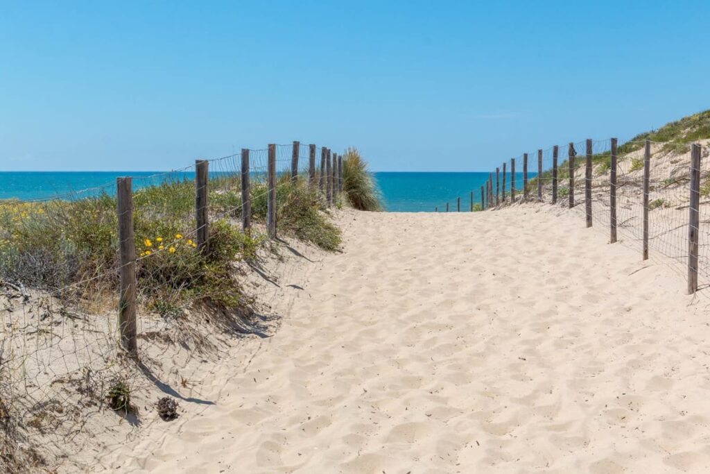 Plage Des Dunes 1