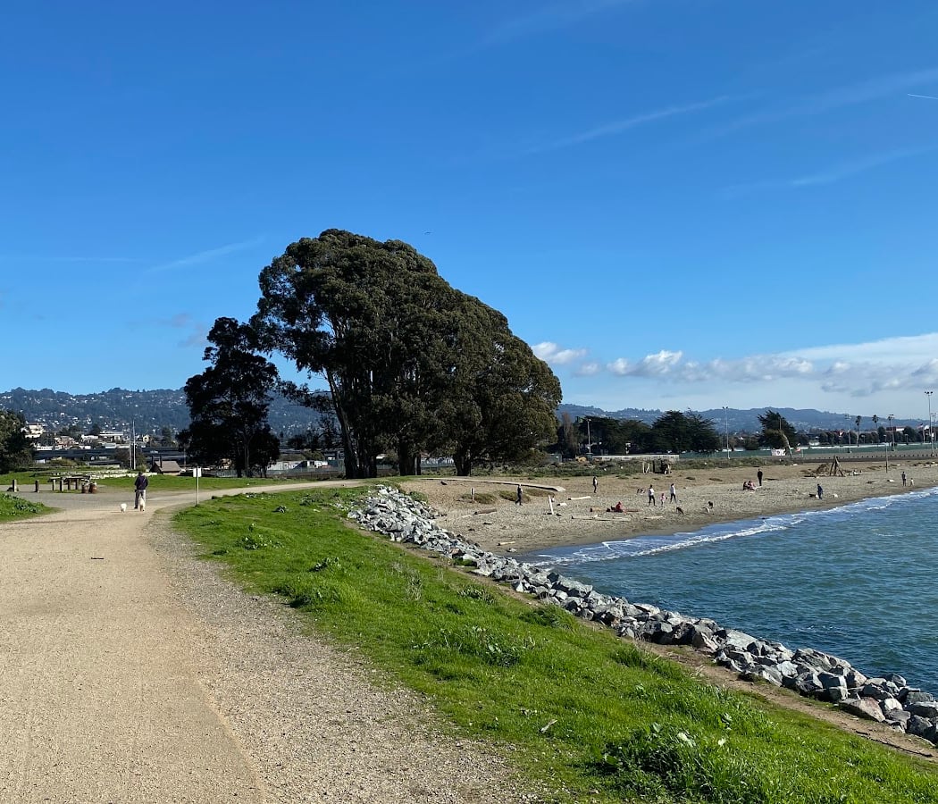 Albany State Marine Reserve 3