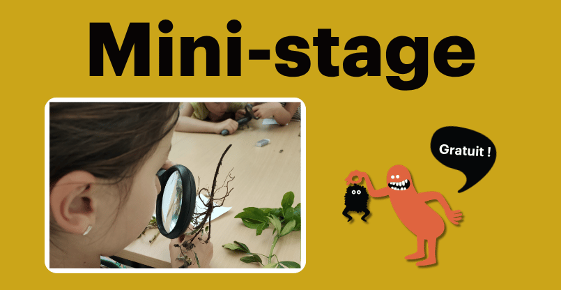 Prochain Mini-Stage Vendéen 1