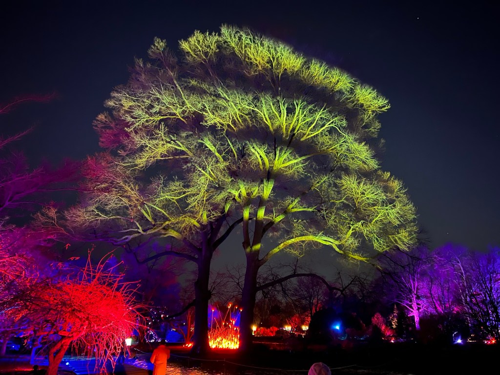 Lightscape 1