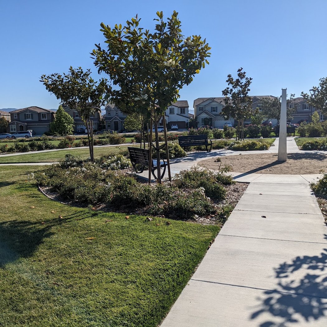 Sean Diamond Park 3