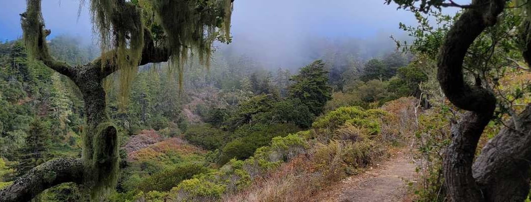 Cotoni-Coast Dairies National Monument Trailhead 2