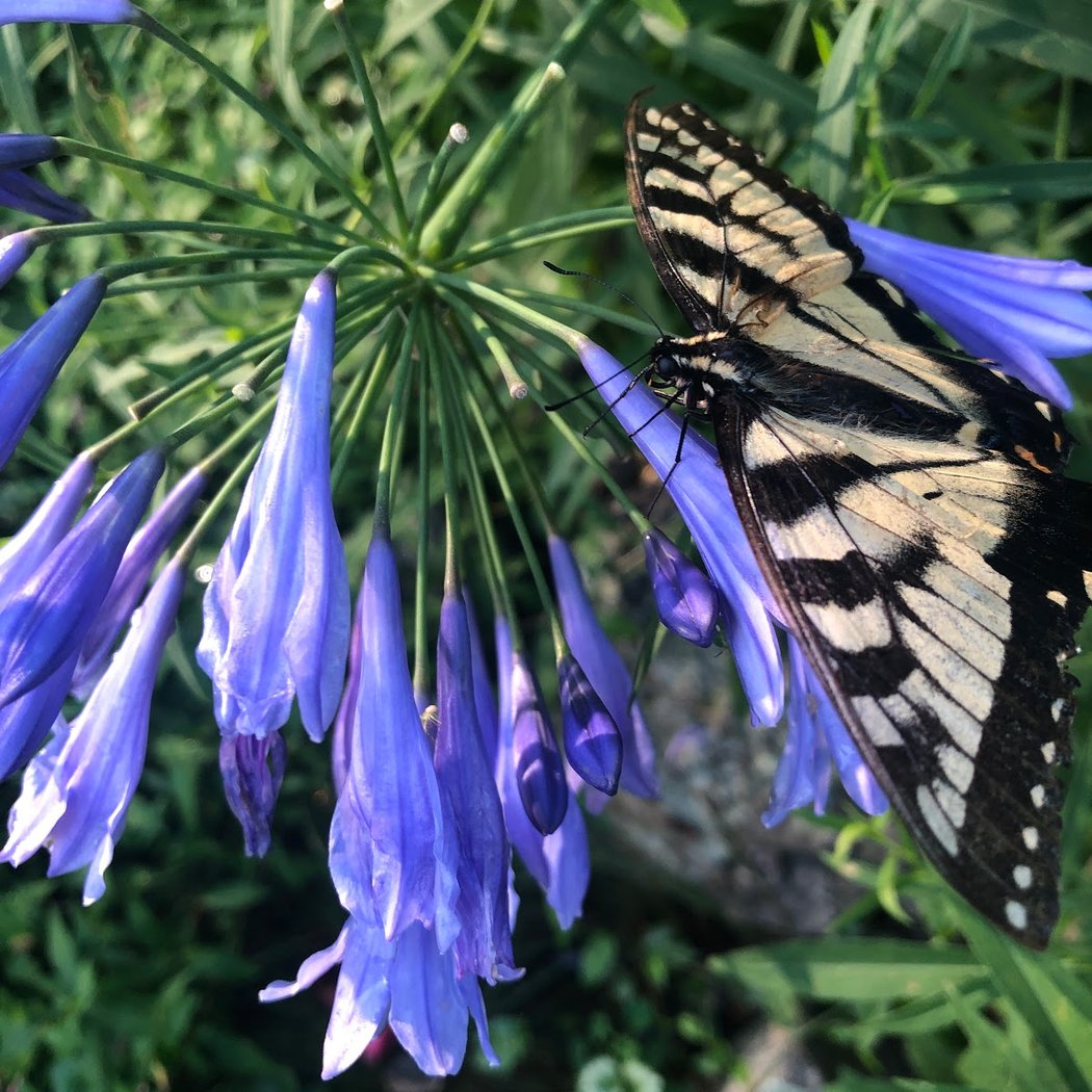 Hortus Arboretum and Botanical Gardens 1