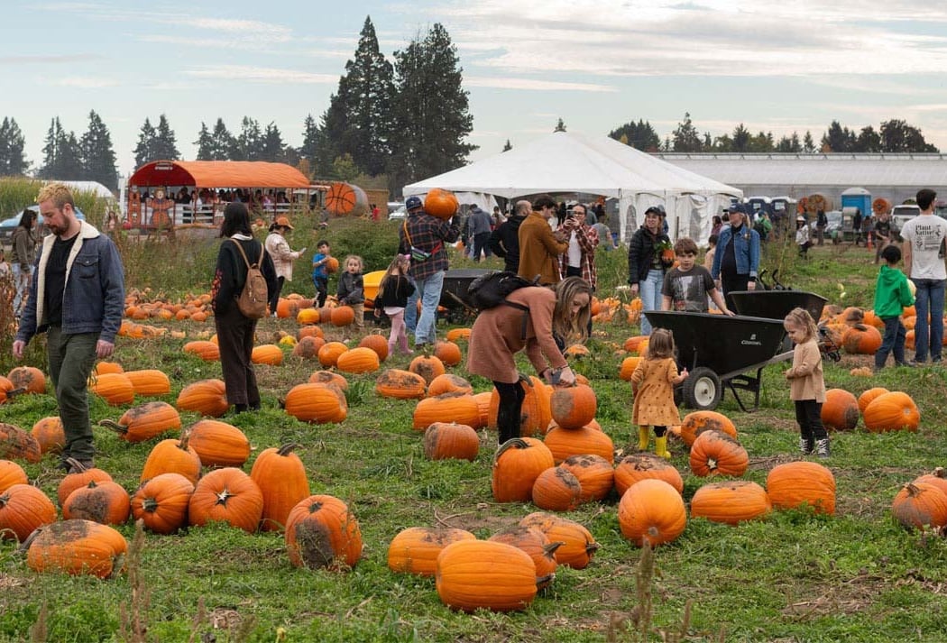 Northern Star Farm's Fall Fest 2