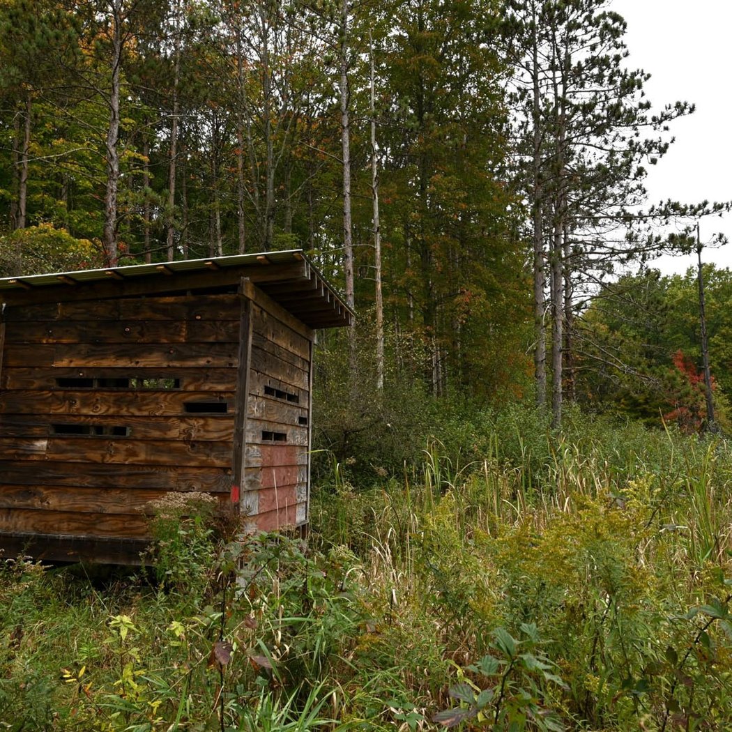 Aurora Sanctuary State Nature Preserve 3