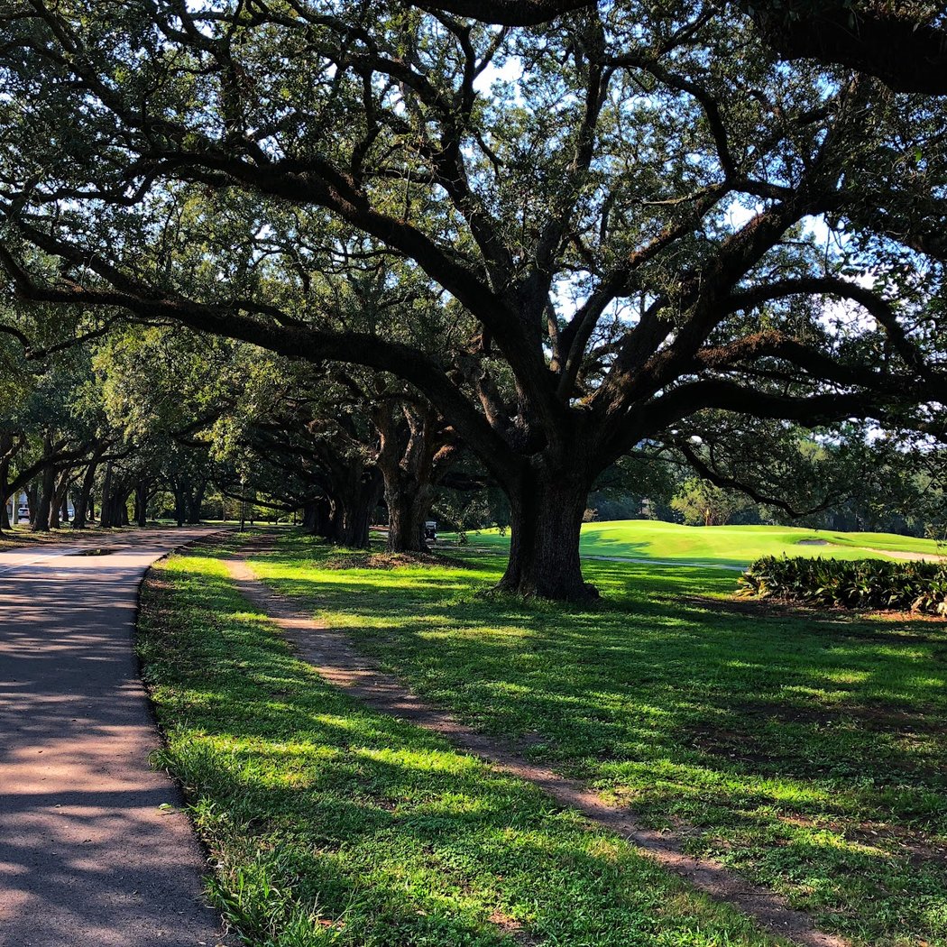 Audubon Park 1