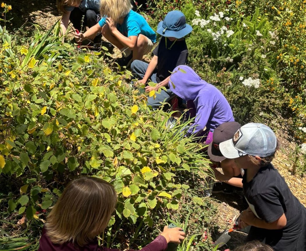Beginning Botany Summer Camp 1
