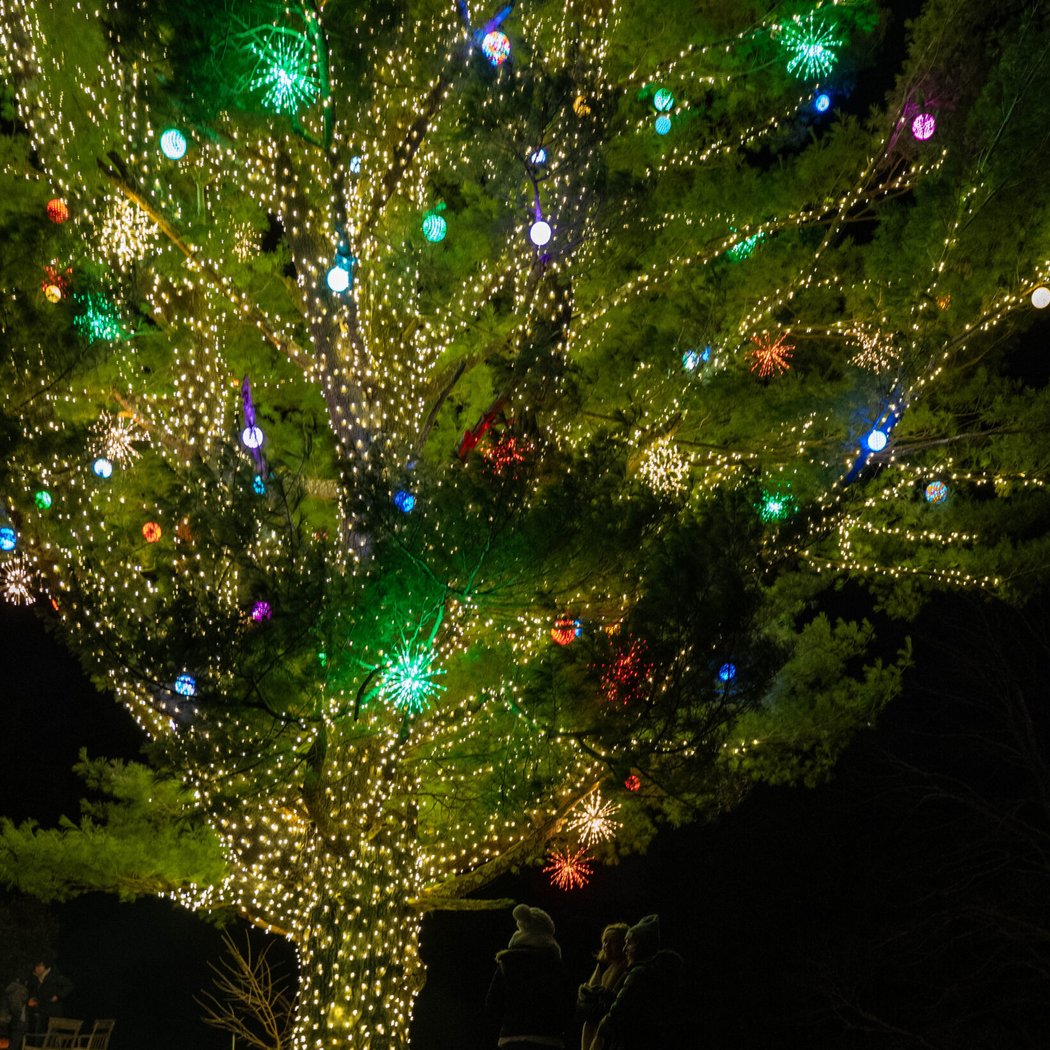 Winter Glow celebration 1
