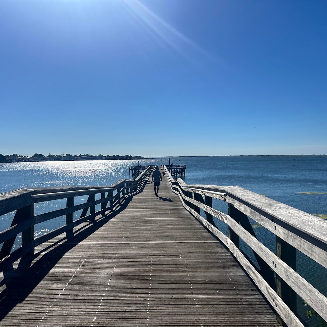 Norman J. Levy Park & Preserve 2