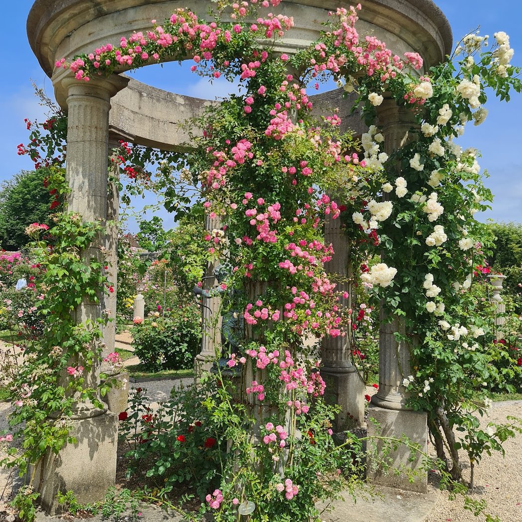 Rendez-vous aux Jardins 3