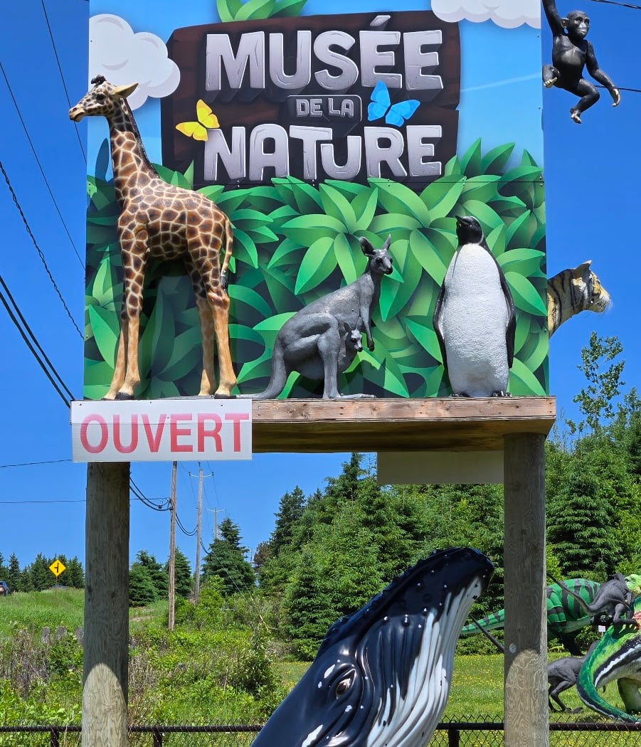 Musée de la nature 2