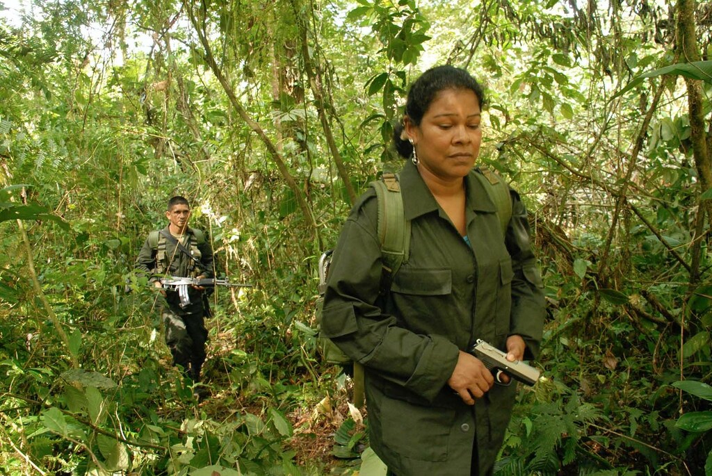 Guérilla des FARC, l'avenir a une histoire 1
