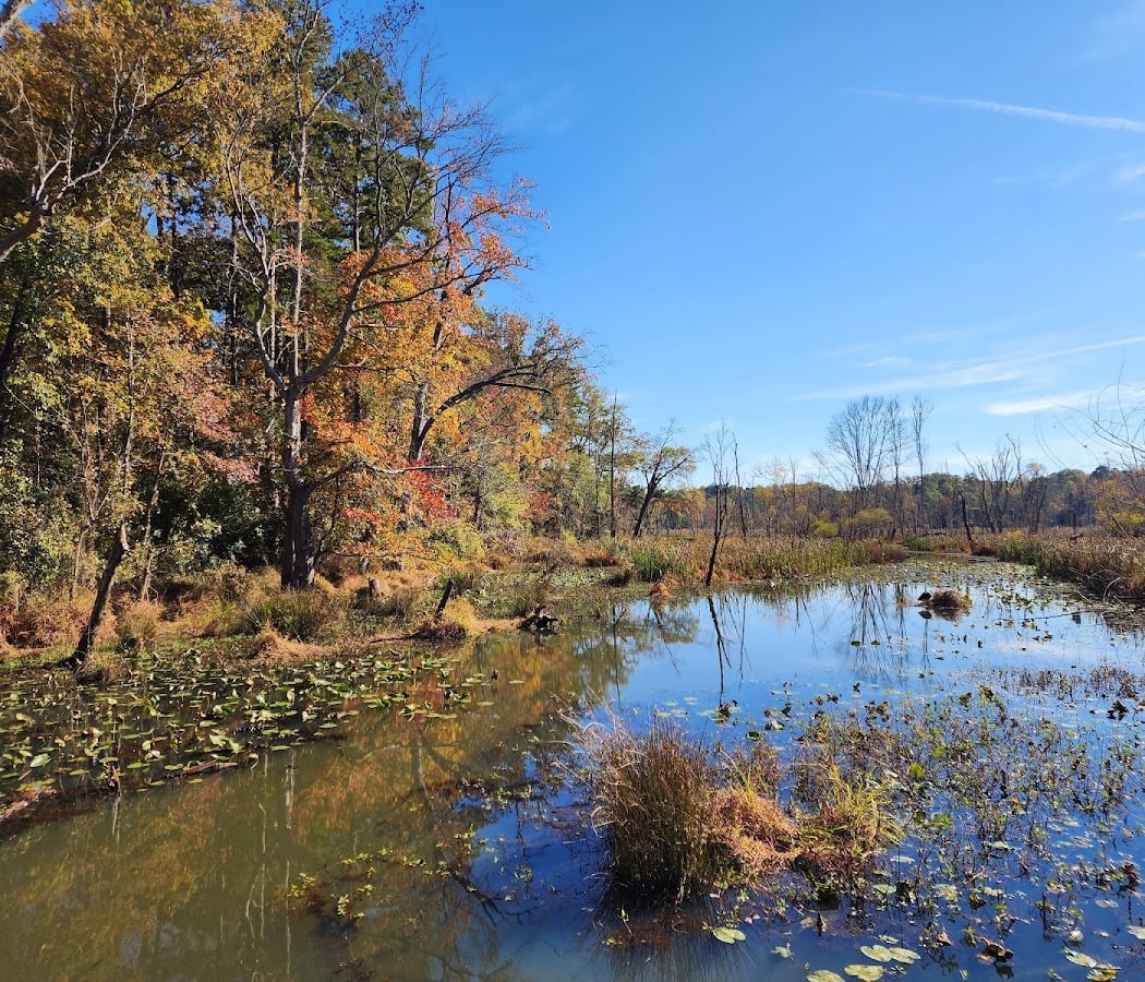 Conestee Nature Preserve 1